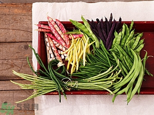 痛風(fēng)能吃豆角嗎？痛風(fēng)吃豆角行嗎？