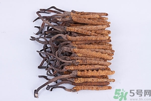 冬蟲(chóng)夏草真假怎么鑒別？冬蟲(chóng)夏草怎么吃效果最好？