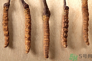 冬蟲夏草真假怎么鑒別？冬蟲夏草怎么吃效果最好？