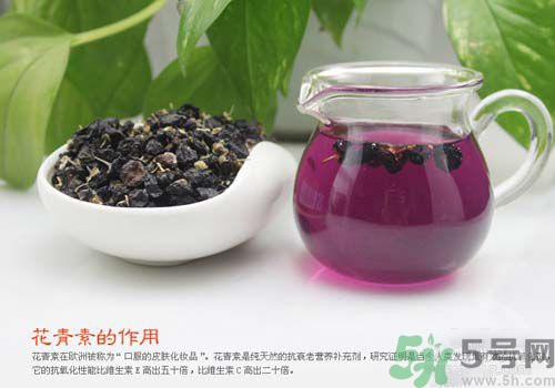 黑枸杞泡水是什么顏色？黑枸杞泡水是紫色的嗎？