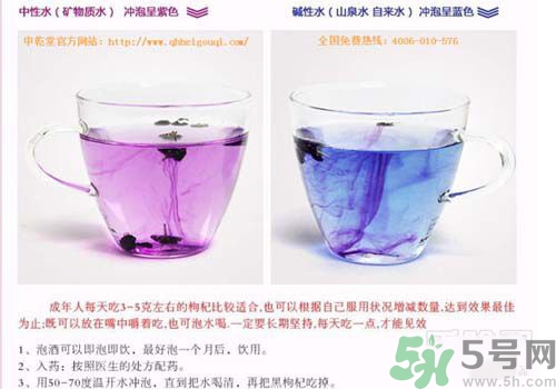 黑枸杞怎么辨別真假？怎么挑選黑枸杞？