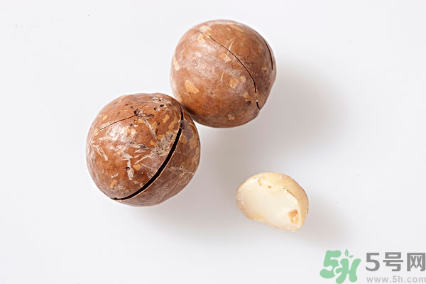 夏威夷果什么時(shí)候成熟上市？腰果和夏威夷果的區(qū)別