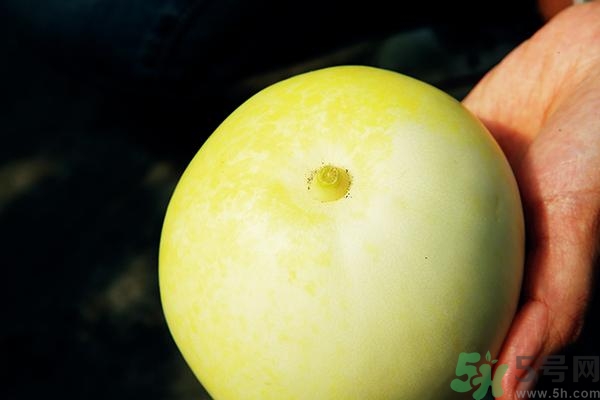香瓜有酒味能吃嗎？香瓜有酒味吃了會怎樣？