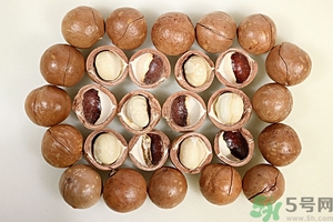 夏威夷果產(chǎn)地在哪里？夏威夷果為什么有奶香？