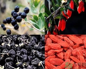 黑枸杞和紅枸杞有什么區(qū)別？黑枸杞和紅枸杞哪個(gè)好？