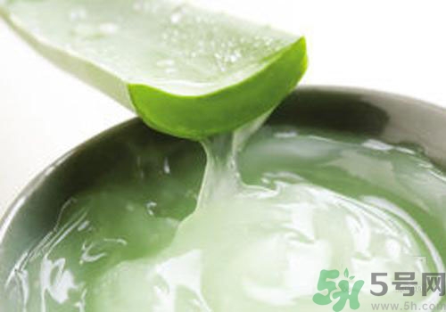 蘆薈膠可以天天用嗎？蘆薈膠天天用好不好？