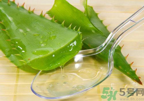 孕婦可以用蘆薈膠嗎？蘆薈膠孕婦可以用嗎？
