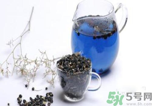 黑枸杞能用開水泡嗎？黑枸杞的沖泡方法