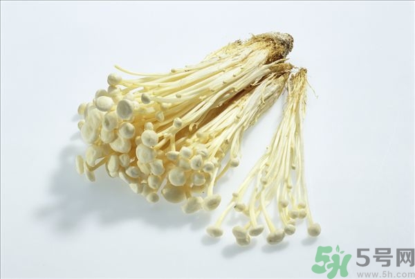 致癌金針菇怎么鑒別？如何選購金針菇？