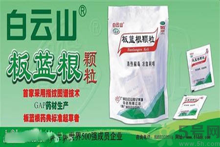 感冒了吃板藍(lán)根有效嗎？感冒了吃板藍(lán)根有用嗎？