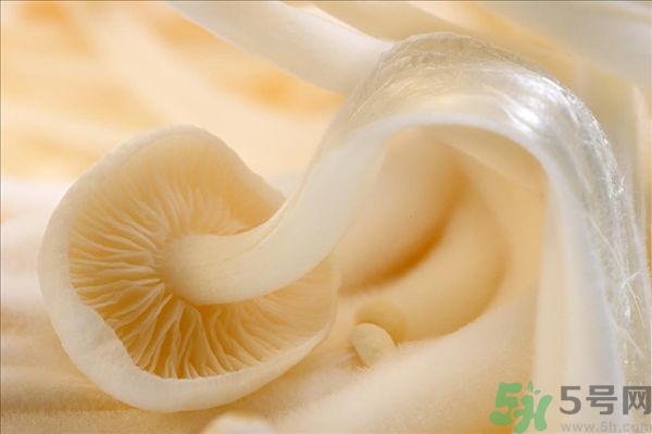 致癌金針菇怎么鑒別？如何選購金針菇？