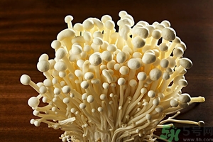 致癌金針菇怎么鑒別？如何選購金針菇？