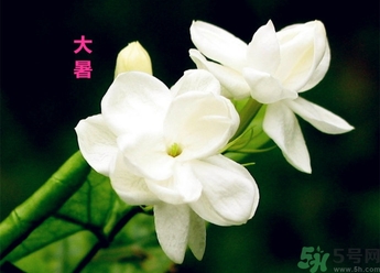 大暑是幾月幾日？大暑是什么意思？