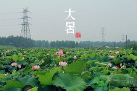 大暑吃什么養(yǎng)生？大暑吃什么好？