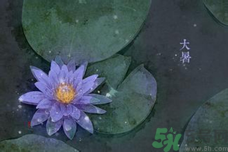 大暑吃什么養(yǎng)生？大暑吃什么好？
