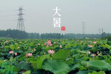 大暑吃什么水果？大暑吃什么水果養(yǎng)生？