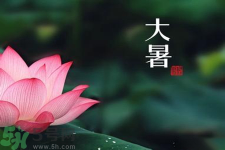 大暑為什么要吃羊肉？大暑吃羊肉的原因
