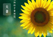 大暑是幾月幾日？大暑是什么意思？