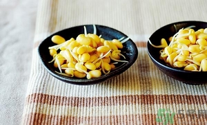 黃豆芽能涼拌嗎？涼拌黃豆芽的家常做法