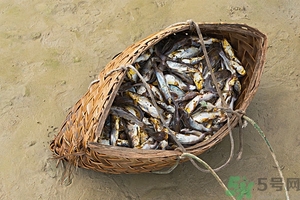 洪水里的魚(yú)能吃嗎？洪水里的魚(yú)可不可以吃？
