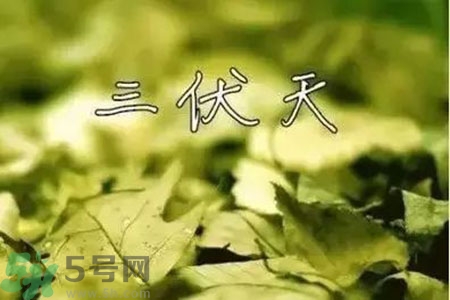 三伏天什么時(shí)候結(jié)束？三伏天是哪幾天？