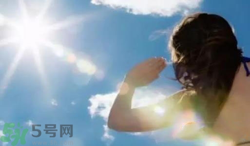 三伏天吃什么？三伏天傳統(tǒng)美食有哪些？