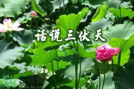 三伏天吃什么？三伏天傳統(tǒng)美食有哪些？