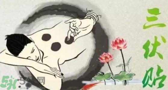 貼三伏貼可以洗澡嗎？貼三伏貼多久可以洗澡？