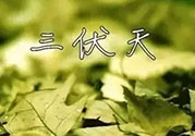 三伏天吃什么？三伏天傳統(tǒng)美食有哪些？