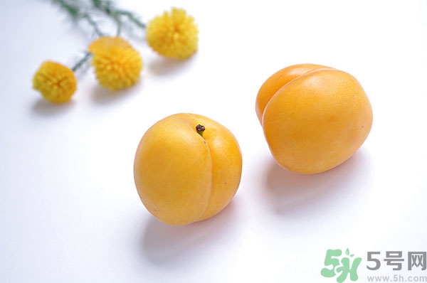 吃杏子能減肥嗎？杏子的功效與作用