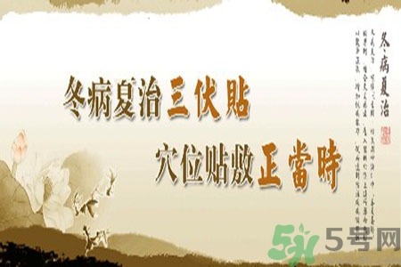 貼三伏貼癢怎么回事？貼三伏貼過(guò)敏怎么辦？
