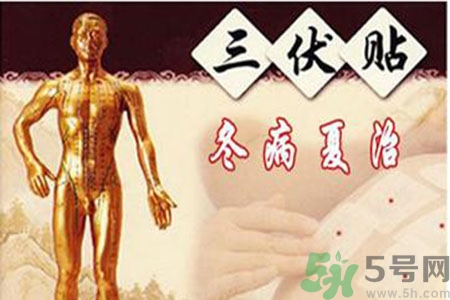 胃病可以貼三伏貼嗎？胃病貼三伏貼貼哪里？