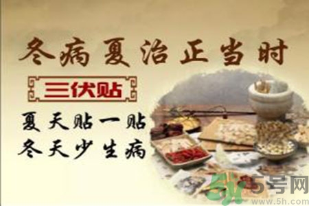 胃病可以貼三伏貼嗎？胃病貼三伏貼貼哪里？