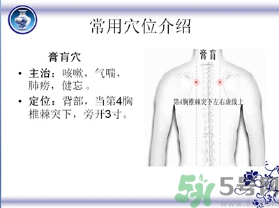 三伏貼可以貼肚臍嗎？三伏貼可以貼肚臍眼嗎？