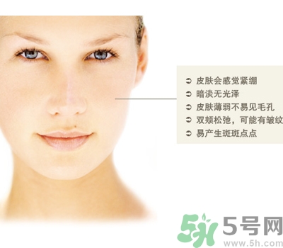干性皮膚用什么洗面奶？干性皮膚該怎么保養(yǎng)？