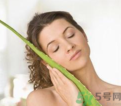 蘆薈膠會堵塞毛孔嗎？蘆薈膠應(yīng)該怎么用？