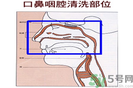 鼻炎能用生理鹽水清理鼻腔嗎？鼻炎能不能用生理鹽水清理鼻腔？