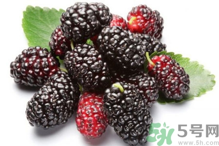 桑葚怎么洗？桑葚怎么保存？