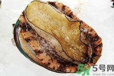鮑魚(yú)如何挑選？鮑魚(yú)如何保存？
