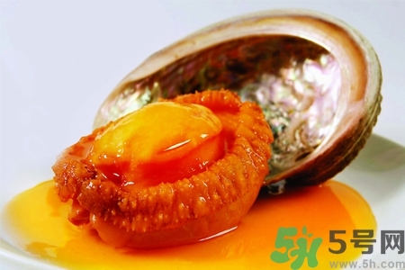 鮑魚如何挑選？鮑魚如何保存？