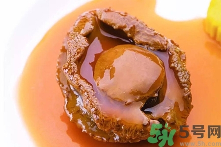 鮑魚(yú)如何挑選？鮑魚(yú)如何保存？