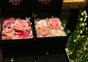 野獸派的花多少錢？野獸派的花哪里買？