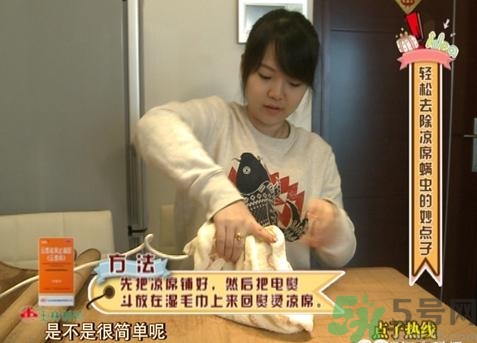 怎么判斷涼席有沒有螨蟲？涼席上的螨蟲怎么去除？