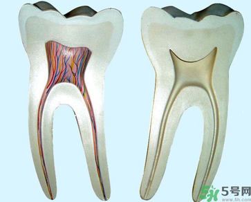 牙齒根管治療多少錢？根管治療一顆要多少錢？