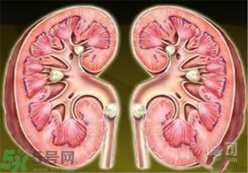 慢性腎炎能治好嗎？慢性腎炎能活多久？