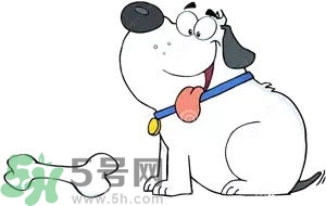 七夕單身狗怎么過？單身怎么過七夕？