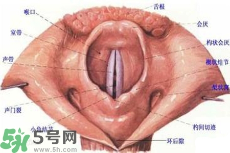 慢性咽炎的發(fā)病因素？慢性咽炎的并發(fā)癥有哪些？