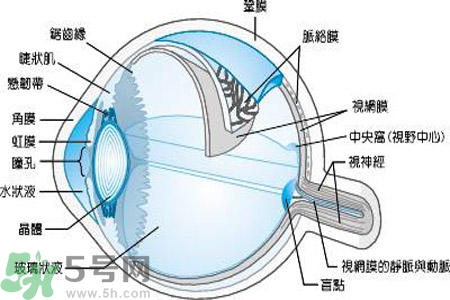 近視眼是什么？近視眼的癥狀有哪些？
