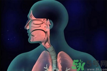 過敏性鼻炎的高發(fā)人群有哪些？如何預防過敏性鼻炎？