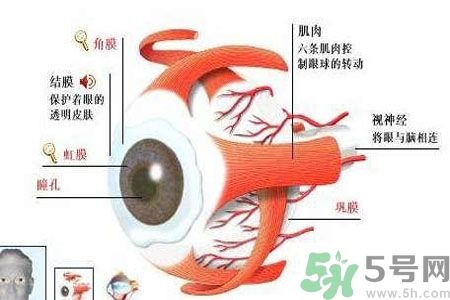 白內(nèi)障的護(hù)理措施是什么？白內(nèi)障的飲食護(hù)理有哪些？